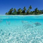 Bandos Maldives Okyanus